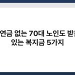 국민연금 없는 70대 노인도 받을 수 있는 복지금 5가지 3