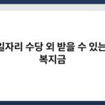 노인일자리 수당 외 받을 수 있는 추가 복지금 4