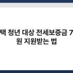 무주택 청년 대상 전세보증금 7천만 원 지원받는 법 6