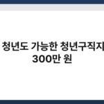 무직 청년도 가능한 청년구직지원금 300만 원 3