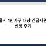 서울시 1인가구 대상 긴급지원금 신청 후기 6