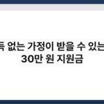 소득 없는 가정이 받을 수 있는 월 30만 원 지원금 5