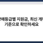 장애등급별 지원금, 최신 개편 기준으로 확인하세요 6