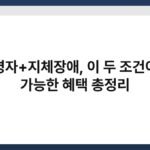 고령자+지체장애, 이 두 조건이면 가능한 혜택 총정리 6