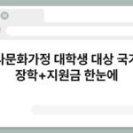 다문화가정 대학생 대상 국가 장학+지원금 한눈에 7