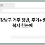 서울 강남구 거주 청년, 주거+생활비 복지 한눈에 3