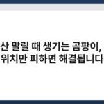 우산 말릴 때 생기는 곰팡이, 이 위치만 피하면 해결됩니다 3