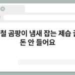 장마철 곰팡이 냄새 잡는 제습 꿀팁, 돈 안 들어요 5
