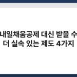 청년 내일채움공제 대신 받을 수 있는 더 실속 있는 제도 4가지 3