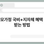 한부모가정 국비+지자체 혜택 동시 받는 방법 3