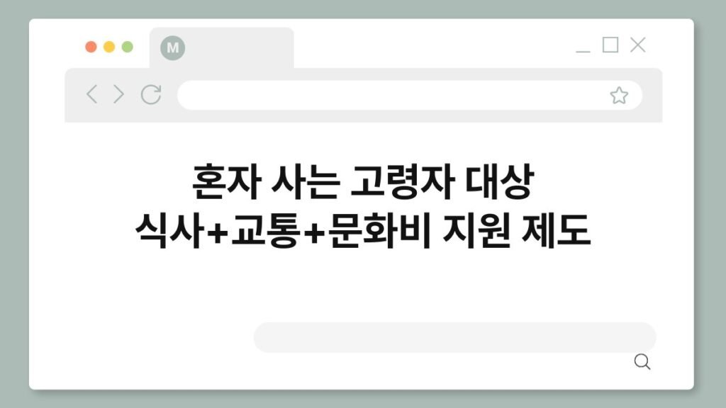 혼자 사는 고령자 대상 식사+교통+문화비 지원 제도 1