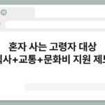 혼자 사는 고령자 대상 식사+교통+문화비 지원 제도 7
