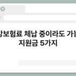 건강보험료 체납 중이라도 가능한 지원금 5가지 4