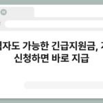 무직자도 가능한 긴급지원금, 지금 신청하면 바로 지급 7