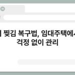 벽지 찢김 복구법, 임대주택에서도 걱정 없이 관리 5