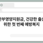 임산부영양지원금, 건강한 출산을 위한 첫 번째 예방복지 7