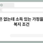 재산은 없는데 소득 있는 가정을 위한 복지 조건 4