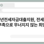 청년전세자금대출지원, 전세금 부족으로 무너지지 않는 희망 6