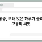 허리통증, 오래 앉은 하루가 불러오는 고통의 씨앗 4