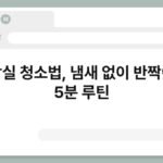 화장실 청소법, 냄새 없이 반짝이는 5분 루틴 3