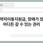 교통약자이동지원금, 장애가 있어도 어디든 갈 수 있는 권리 6