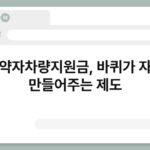 교통약자차량지원금, 바퀴가 자유를 만들어주는 제도 6