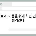 명상효과, 마음을 쉬게 하면 면역도 올라간다 2