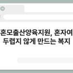 미혼모출산양육지원, 혼자여도 두렵지 않게 만드는 복지 4