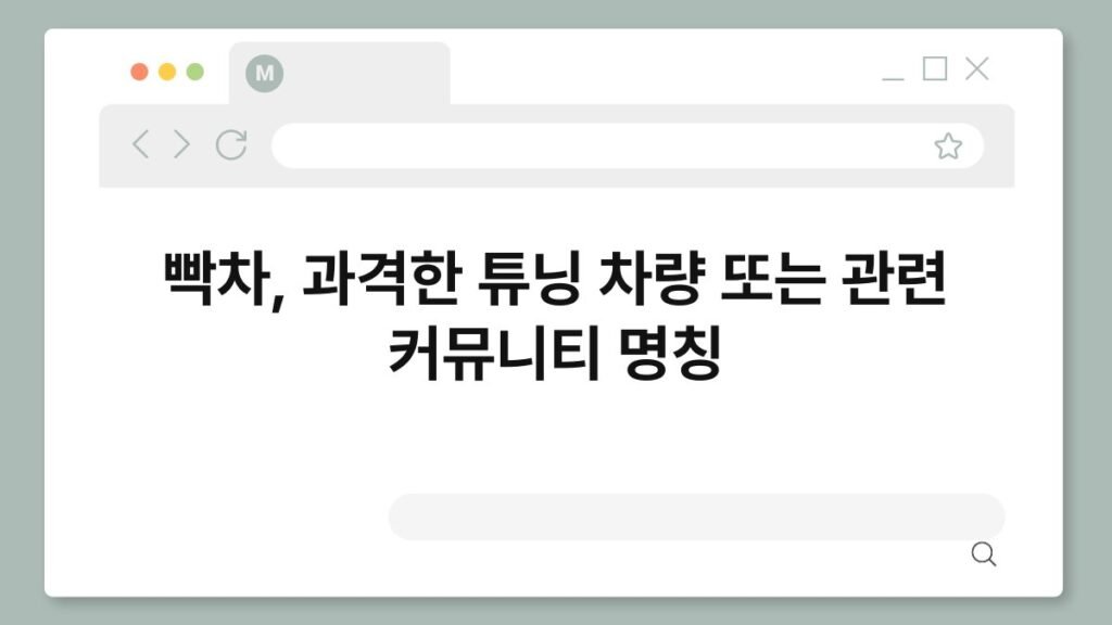 빡차, 과격한 튜닝 차량 또는 관련 커뮤니티 명칭 2