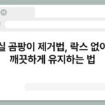 욕실 곰팡이 제거법, 락스 없이도 깨끗하게 유지하는 법 4