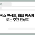 이비에스 편성표, EBS 방송의 일일 또는 주간 편성표 3