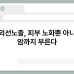 자외선노출, 피부 노화뿐 아니라 암까지 부른다 5