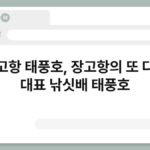 장고항 태풍호, 장고항의 또 다른 대표 낚싯배 태풍호 7