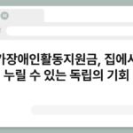 재가장애인활동지원금, 집에서도 누릴 수 있는 독립의 기회 5