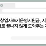 청년창업자초기운영지원금, 시작이 실패로 끝나지 않게 도와주는 자금 7