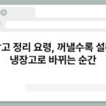 냉장고 정리 요령, 꺼낼수록 설레는 냉장고로 바뀌는 순간 5