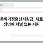 다문화가정출산지원금, 새로운 생명에 차별 없는 지원 7