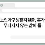 독거노인가구생활지원금, 혼자여도 무너지지 않는 삶의 틀 3