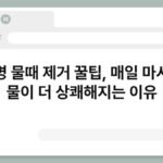 물병 물때 제거 꿀팁, 매일 마시는 물이 더 상쾌해지는 이유 7