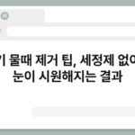 변기 물때 제거 팁, 세정제 없이도 눈이 시원해지는 결과 3