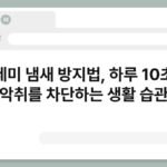수세미 냄새 방지법, 하루 10초로 악취를 차단하는 생활 습관 7