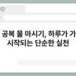 아침 공복 물 마시기, 하루가 가볍게 시작되는 단순한 실천 3