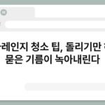전자레인지 청소 팁, 돌리기만 해도 묻은 기름이 녹아내린다 5