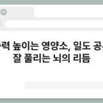 집중력 높이는 영양소, 일도 공부도 잘 풀리는 뇌의 리듬 5
