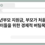청년부모 지원금, 부모가 처음인 이들을 위한 경제적 버팀목 6