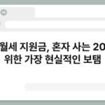 청년월세 지원금, 혼자 사는 20대를 위한 가장 현실적인 보탬 2