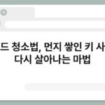 키보드 청소법, 먼지 쌓인 키 사이가 다시 살아나는 마법 6