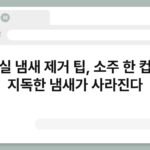 화장실 냄새 제거 팁, 소주 한 컵이면 지독한 냄새가 사라진다 5
